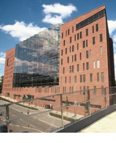 Danube House